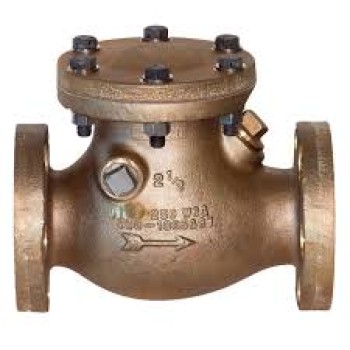 GM NRV Steam Check Valve/Non Return Valve Horizontal Lift Screwed Bolted SS Working Part Heavy (WJ-Neta)